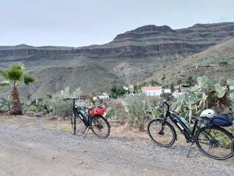 E-bike panoramic mountain tour with tapas tasting